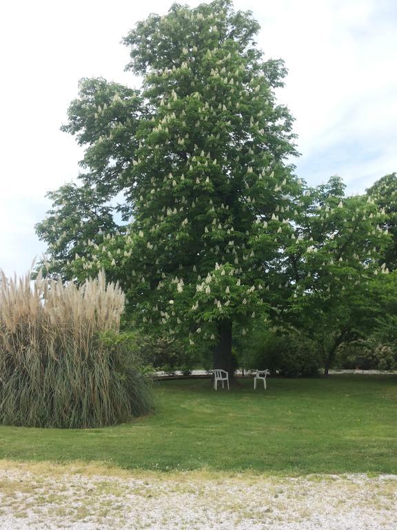 Agriturismo Al Navile 말랄베르고 외부 사진